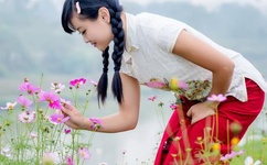 毕加猪120全集高清